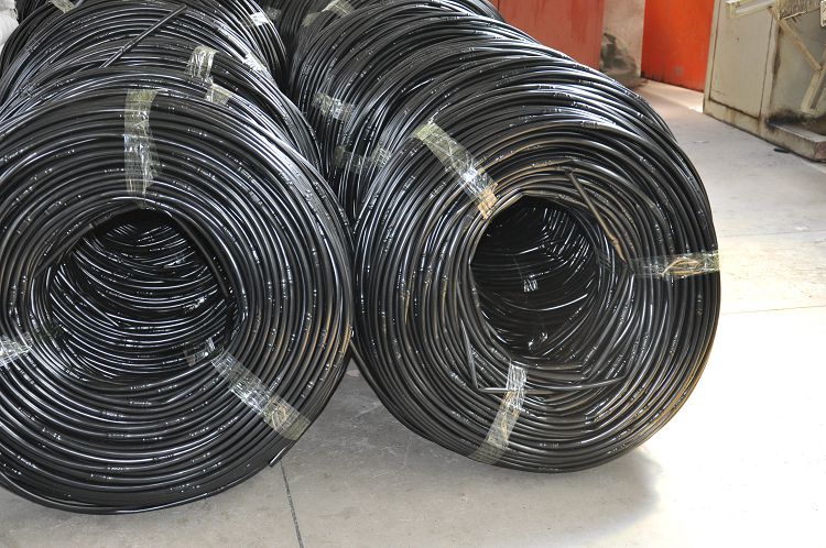 ��(n��i)肈A��ʽ�ι��