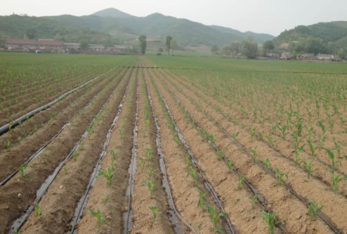 �ɶ�����3000��ˮ��һ�w����(sh��)ʩ����