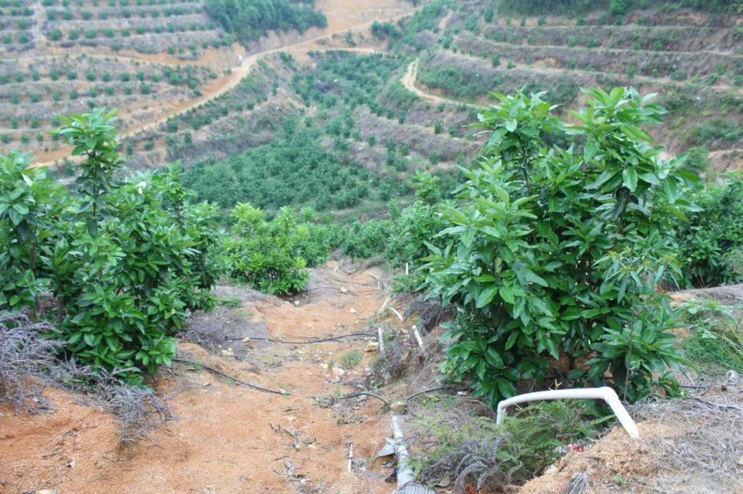 ���(y��ng)��3250��ɽ�X�ι�ˮ��һ�w��ʩ������