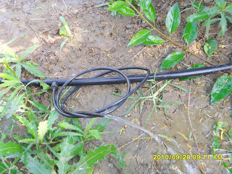 ����(sh��)�ι�С�ܳ���